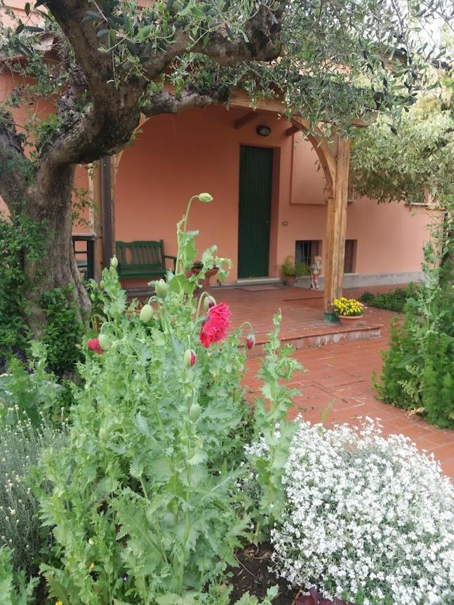 ויגונצה Villa Giuliana מראה חיצוני תמונה